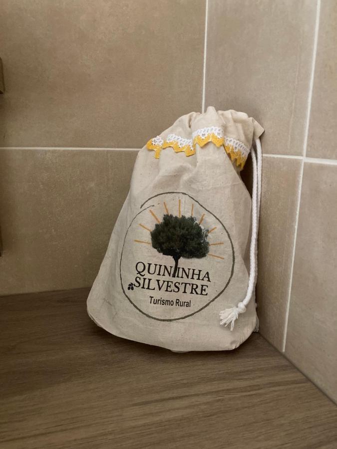 톤델라 Quintinha Silvestre 빌라 외부 사진